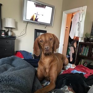 Meet your Posher, Brian